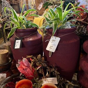 Rood bordeaux, Luimes & Luimes, geglazuurd REACTIVE 3_2 L.BLUE BASIC VASE plant pot / bloem vaas 22X40CM (op voorraad) v2