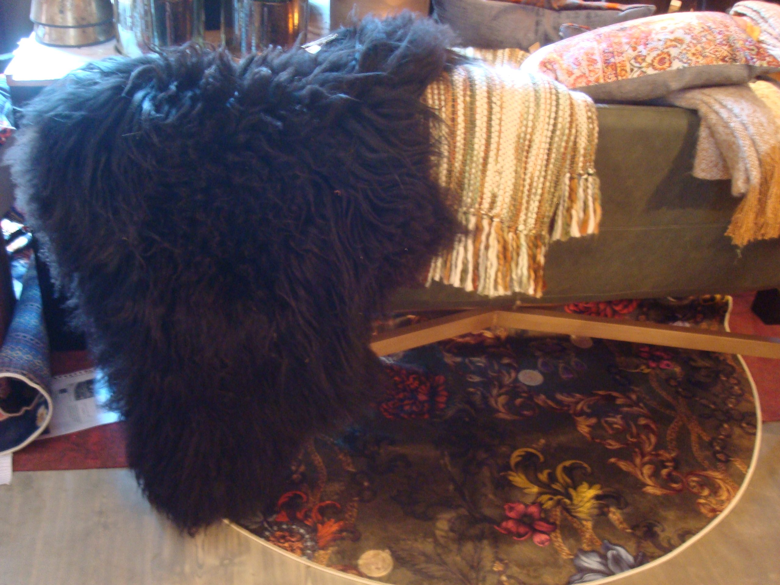 zwart  bed sprei vloer kleed tafel loper schapenvacht lang harig, van Buren / Lilla Syster, r heerlijk warm aan voeten 60-99 cm (op voorraad) V1 - Afbeelding 2