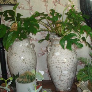 wit grijs aardewerk, Luimes & Luimes, geglazuurd craquelé: bloem vaas plant pot  kruik  20x20x42 (op voorraad) V1