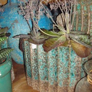 blauw turquoise, Ter Steege aardewerk pot vaas robuust met verschillende kleur scharkeringen  Planter Leoni bijzonder bewerkt met grijze onderkant lang 29 x16 diep en hoog 24 cm plant pot bloem vaas (op voorraad) v2