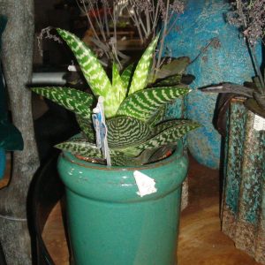 blauw turquoise aardewerk, Ter Steege, geglazuurd  bloem vaas plant pot  kan ook buiten 15x15x23 cm (op voorraad) V1
