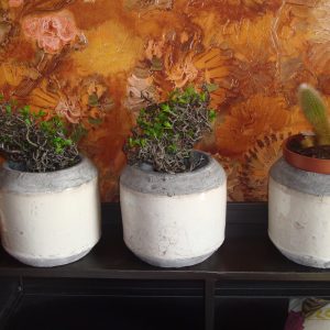 wit met grijze rand aardewerk, Ter Steege, geglazuurd plant pot  15x15x15 cm (op voorraad) v1