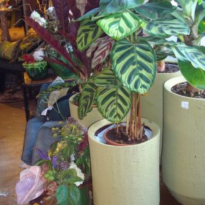 groen aardewerk,Luimes & Luimes, mat  plant pot bloem vaas genaamd Normandië 2-2 pot 25x25x25 (op voorraad) V 2