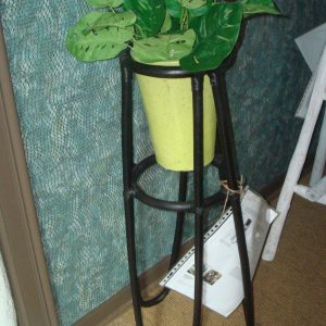 zwart bamboe, By Boo, planten standaard op voet stevig met  groene pot Plantstand large - black (BxDxH):35 x 35 x h  83 cm de planten u kunt zelf thuis er ook een andere pot in doen  (op voorraad) V1