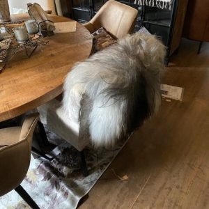 grijs/wit/zwart lang echt harig Ijslands Schapenvacht, Van Buren, voeten kleed vloer tafel loper bed sprei heerlijk warm, 1.21 bij 73 cm V0