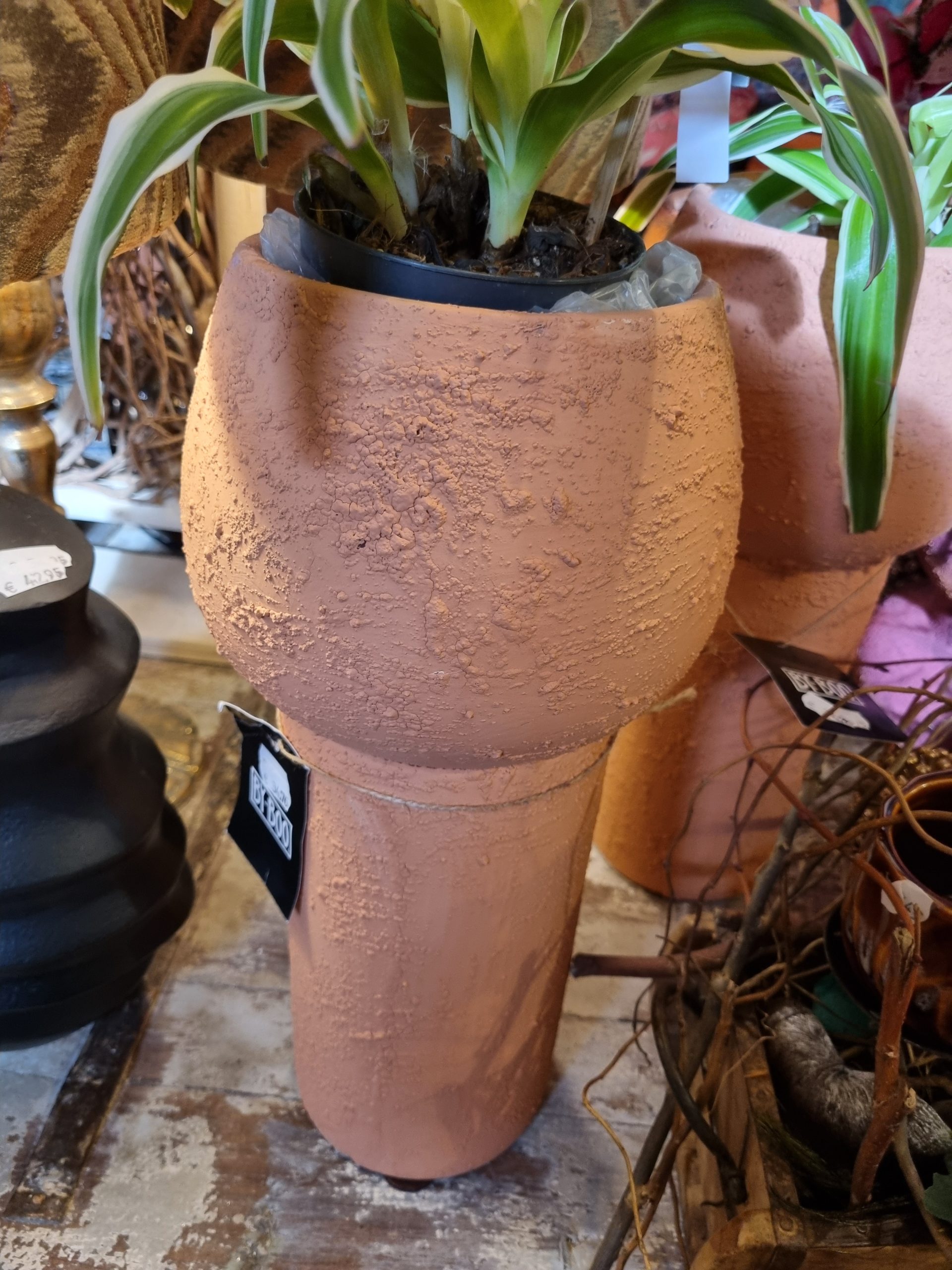 1000032074 1000032074