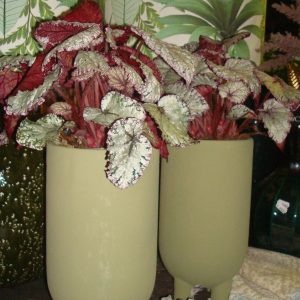 groen aardewerk, Ter Steege,/ pot en mand PTMD   mat, plant pot bloem vaas aardewerk  op pootjes sierlijk stoer, rond Ø 13 x 30 hoog  cm. (op voorraad) v2