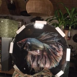roze blauw glas print achter glas, Gave specials,  meerkleurig, vis foto ronde afbeelding op glas, met ophang armatuur aan de achterkant ( haken aan het glas schilderij ) muur wand decoratie  , 1 m -1. m  (op voorraad) V1