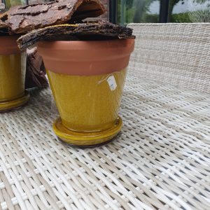 geel oker met oranje stenen rand aardewerk, Ter Steege / pot en mand PTMD, geglazuurd, plant pot bloem vaas aardewerk keramiek kan ook buiten gebruikt worden met vaste schotel eronder ,, rond Ø 16 x 17 hoog  cm. (op voorraad) V2