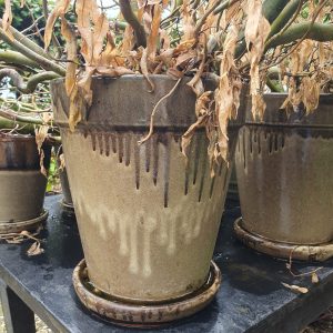 bruin creme aardewerk, Ter Steege / pot en mand PTMD, , geglazuurd  plant pot bloem vaas kan ook buiten gebruikt worden met vaste schotel eronder , rond Ø30 x 35 hoog  cm. (op voorraad) V2