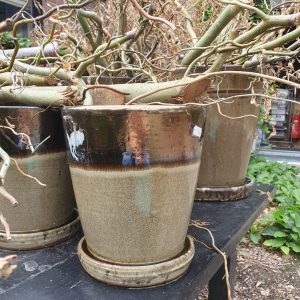 bruin creme brons aardewerk, Ter Steege / pot en mand PTMD, geglazuurd  plant pot bloem vaas aardewerk kan ook buiten gebruikt worden met vaste schotel eronder , , rond Ø 20 x 24 hoog  cm. (op voorraad) V3