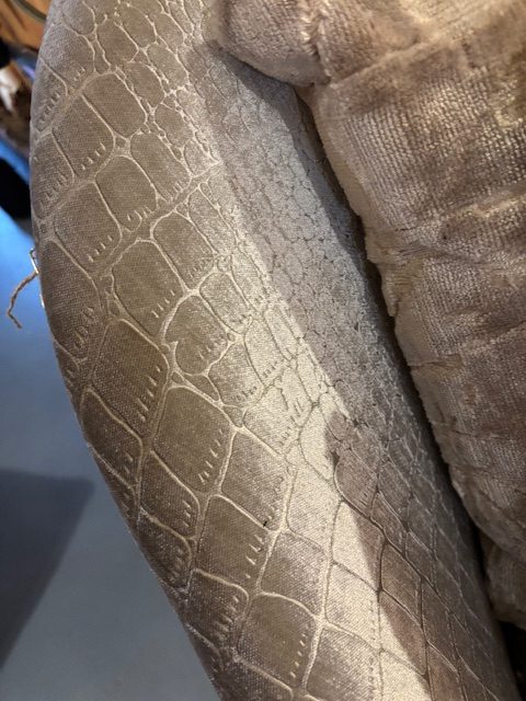 Beige, glans fluwelen stof, eetkamerstoel / stoel Jonas, van Dimondi by Teugra, 60 cm breed, hoogte 87 cm, zithoogte 48 cm en zitdiepte 48 cm, stof: Croco 906, houten zwarte poot, Speciale prijs -10% (op voorraad) V2 - Afbeelding 3
