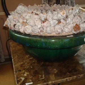 Groen aardewerk geglazuurd plant pot bloem vaas schaal, Luimes & Luimes, 15 cm hoog x 39 cm doorsnede (op voorraad ) V1