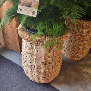 Bruin naturel rotan, Lauco, Pot Tunesie mand groot plant pot bloem vaas rond, doorsnede 31 cm hoog 41 cm geplastificeerd aan de binnen kant ( op voorraad ) v2