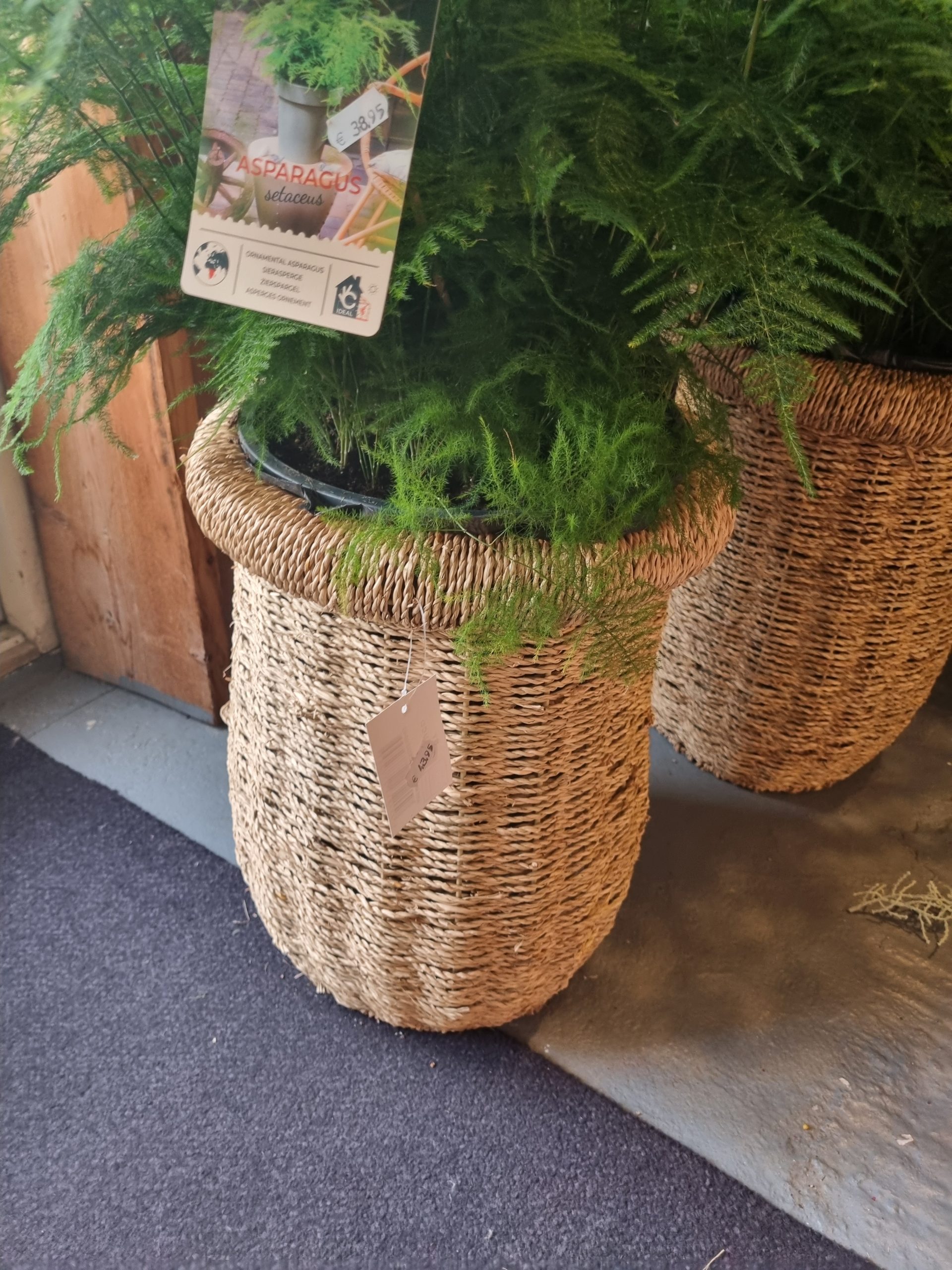 1000032057 1000032057