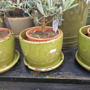 Groen aardewerk, Waterdrinker / Nieuwkoop, plant pot bloem vaas aardewerk geglazuurd  kan ook buiten gebruikt worden met vaste schotel eronder, rond Ø18 x 14 hoog cm. (op voorraad) V6