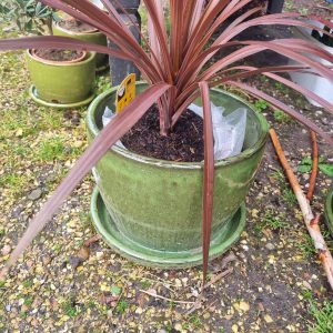 Groen aardewerk, Waterdrinker / Nieuwkoop, plant pot bloem vaas aardewerk geglazuurd  kan ook buiten gebruikt worden met vaste schotel eronder, rond 29 x 22 hoog cm. (op voorraad) V2