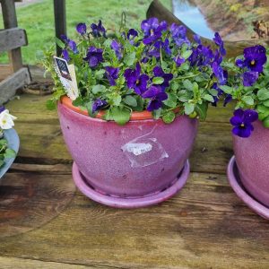 Roze aardewerk, Waterdrinker / Nieuwkoop, plant pot bloem vaas aardewerk geglazuurd  kan ook buiten gebruikt worden met vaste schotel eronder, rond Ø23 x 18 hoog cm. (op voorraad) V2